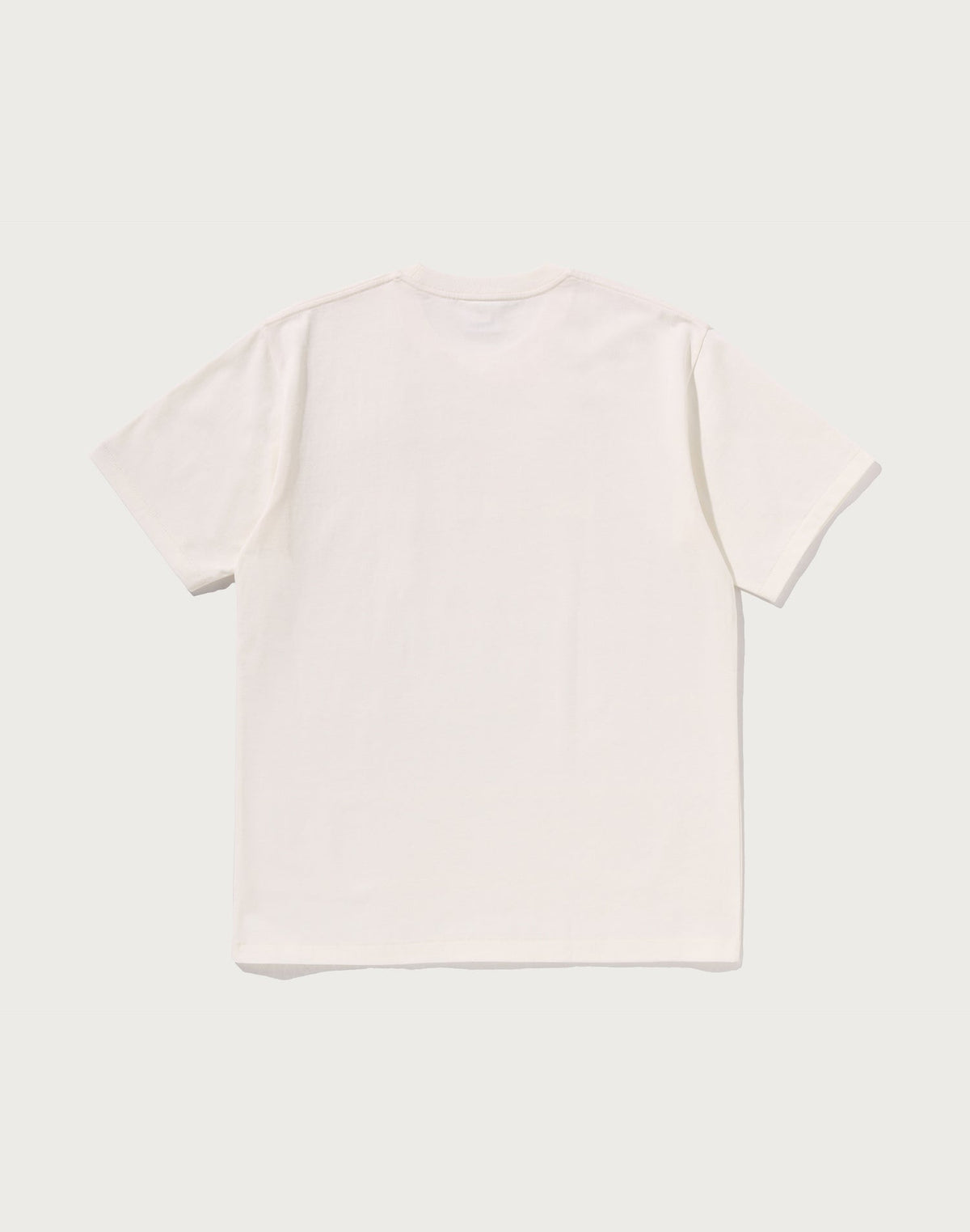 PAISLEY PATTERN BY BATHING APE TEE MENS